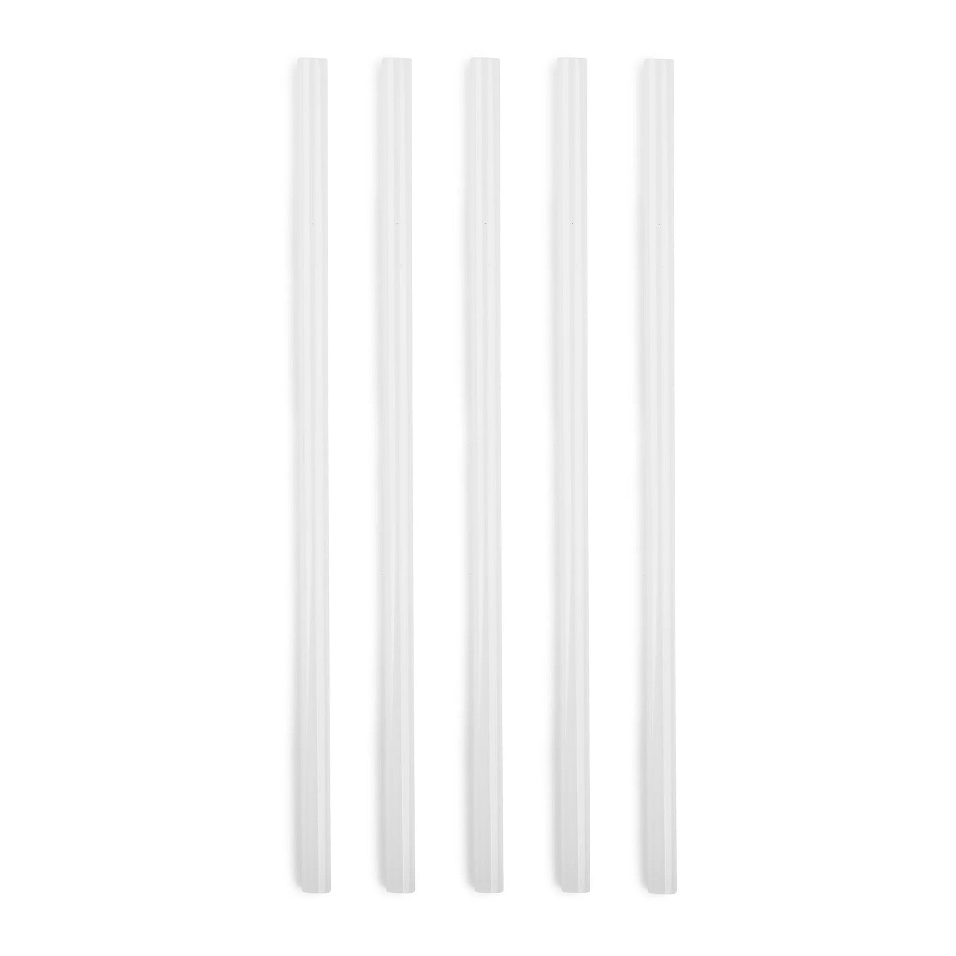 5-piece-replacement-straw-set-for-titan-3l-135-oz-w3 SPY2010_02.jpg